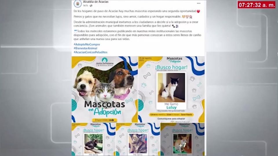 #Acacías #MaltratoAnimal Hoy preguntamos quién tiene la solución de una vez por