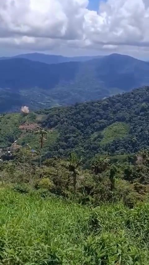¿QUÉ TAL? “CORONAMOS”… “VOLARON TRAPITOS POR LO ALTO”… ASÍ CELEBRARON EN ANTIOQUÍA