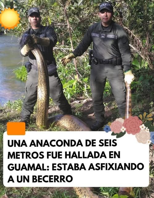 #Impactante || Gracias al llamado oportuno de la comunidad, la Policía Ambiental