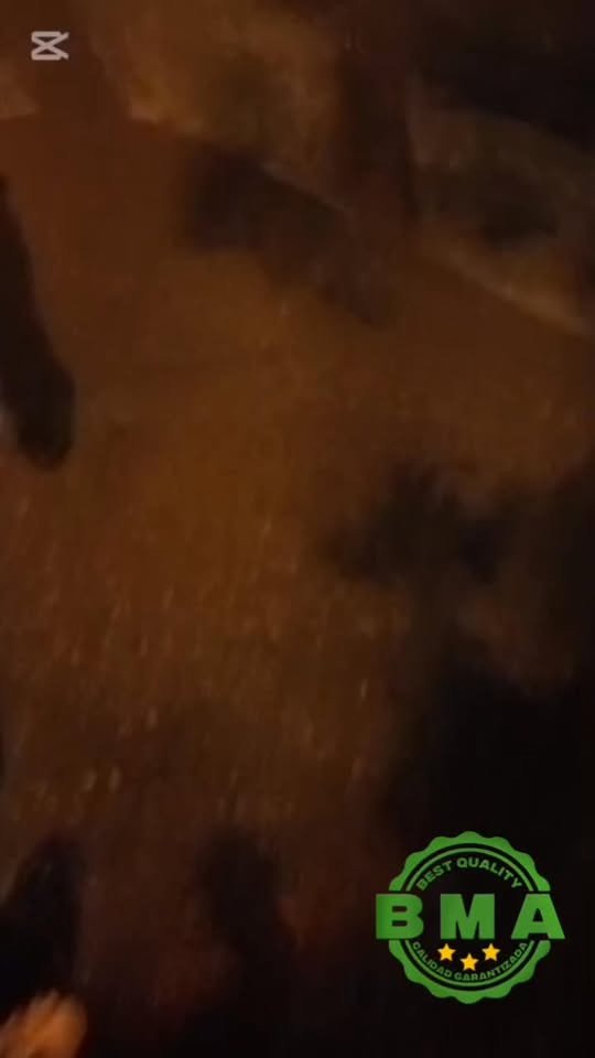 En un hecho de intolerancia, una riña con machete dejó una persona