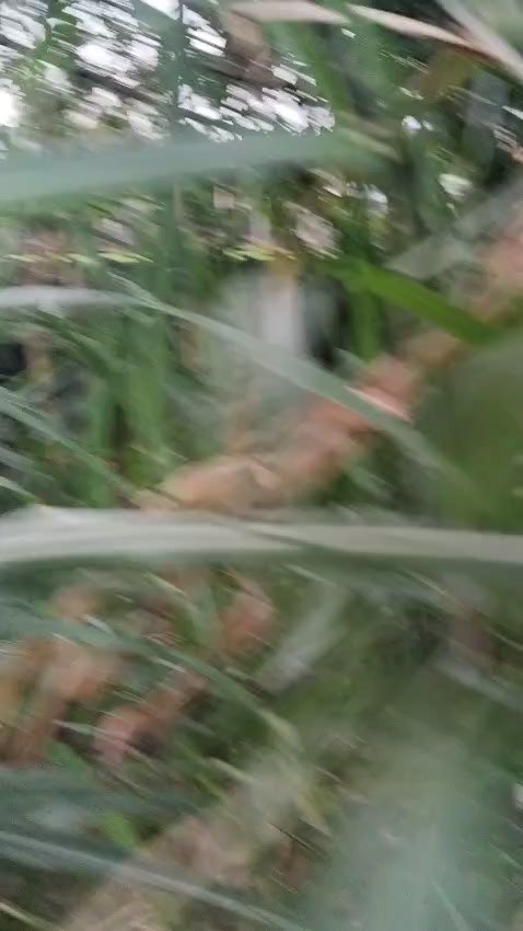 #FugaDeGas #EscuelaNormalSuperior Por fuerte aguacero de la noche anterior y crecida del