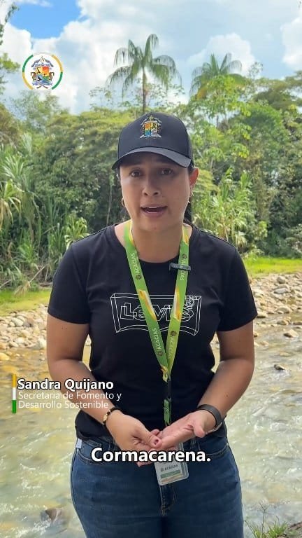 ¿Necesita podar o talar árboles? ¡Hágalo de forma legal y responsable! Si