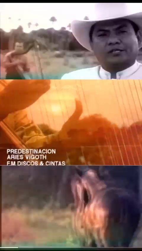 #Acacías Artistas del género llanero, popular y romántico se presentan en un