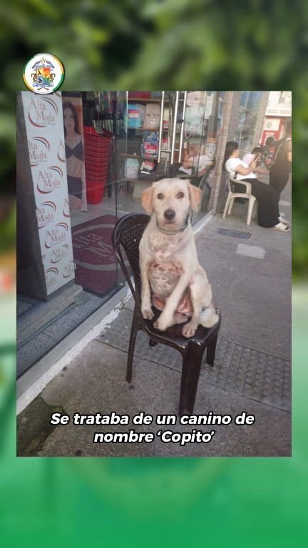 La administración municipal rechaza de manera contundente los lamentables hechos de maltrato