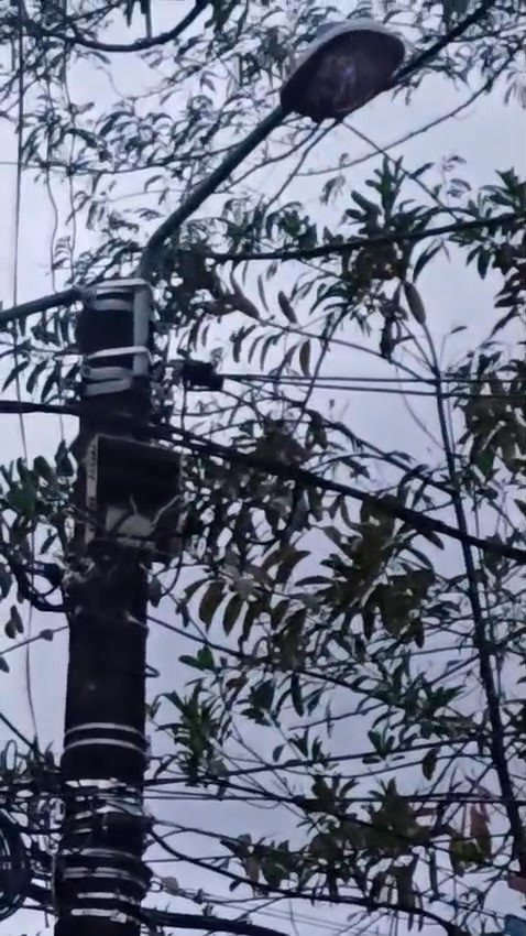 #ReporteCiudadano #Acacías Desde el barrio Brisas de Playón nos envían este reporte