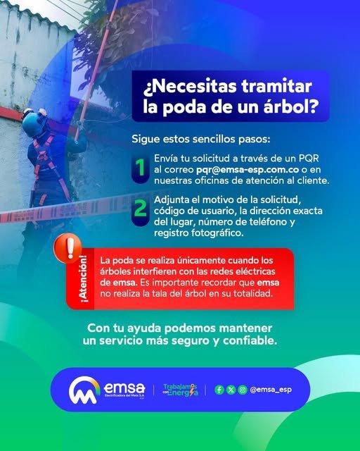 #Acacías #Árboles #Poda Si hay un árbol que interrumpa el servicio de