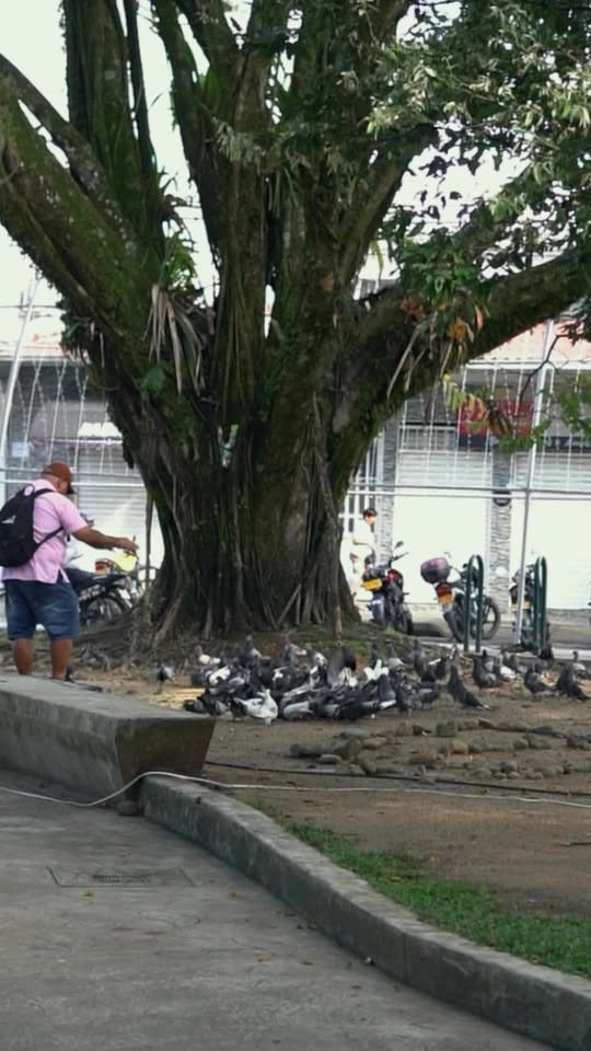 AQUÍ SE PROTEGE LA VIDA DE NUESTRA FAUNA La Administración Municipal, junto