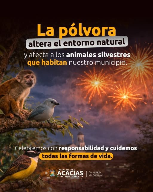 NO A LA PÓLVORA, SÍ A LA VIDA En esta temporada de