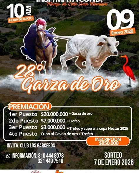 Maya se viste de fiesta y tradición llanera La Inspección de Maya