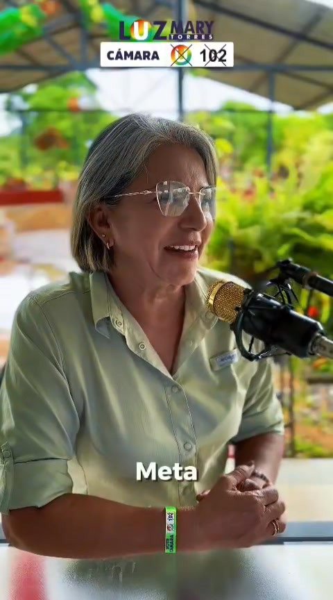 Luz Mary Torres le apuesta a la renovación energética en el Meta