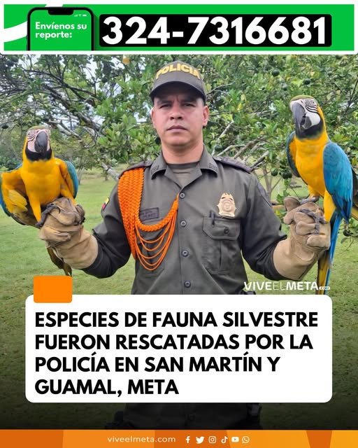 Los procedimientos permitieron poner a salvo a varios ejemplares que permanecían fuera