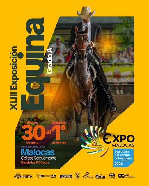Exposición Equina Grado A en la ExpoMalocas 2026 La tradición, la elegancia